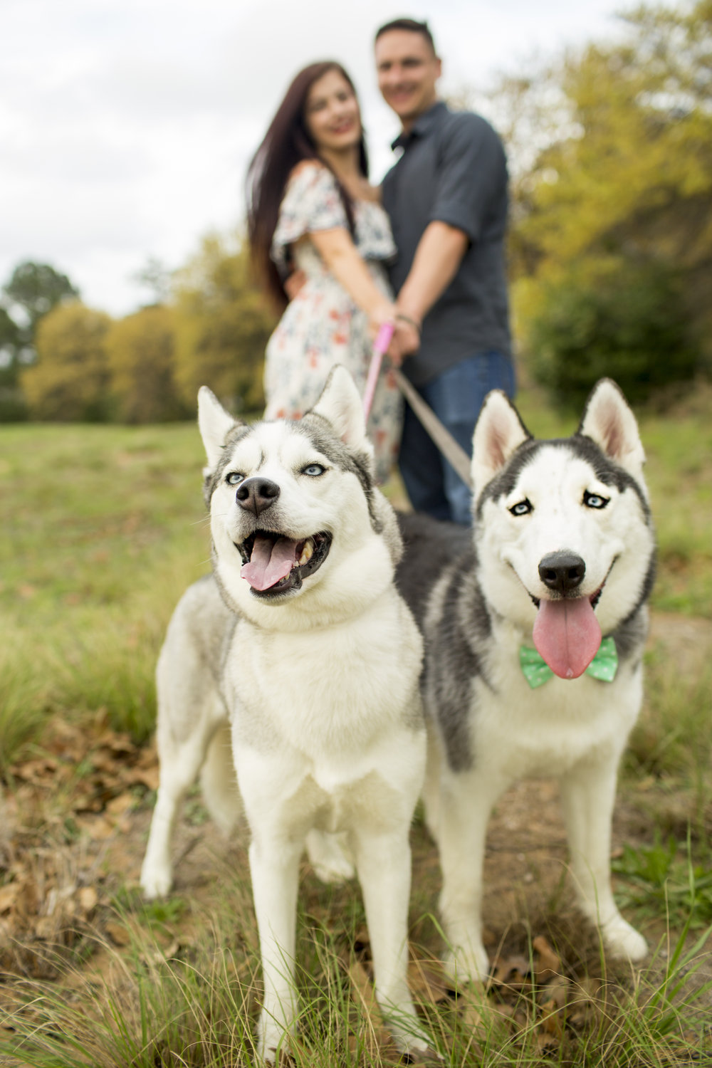 Wheeler Family Session | Southlake, TX