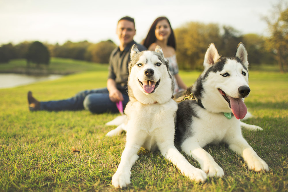 Wheeler Family Session | Southlake, TX