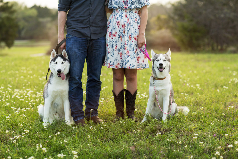 Wheeler Family Session | Southlake, TX