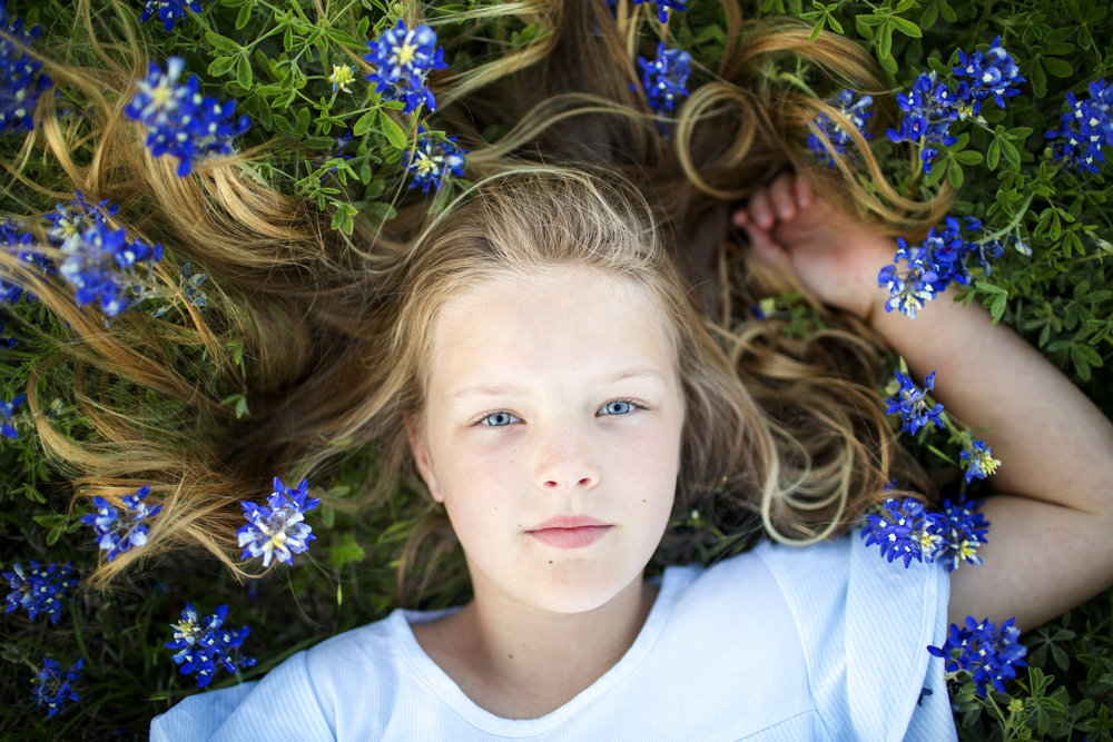 Bluebonnets