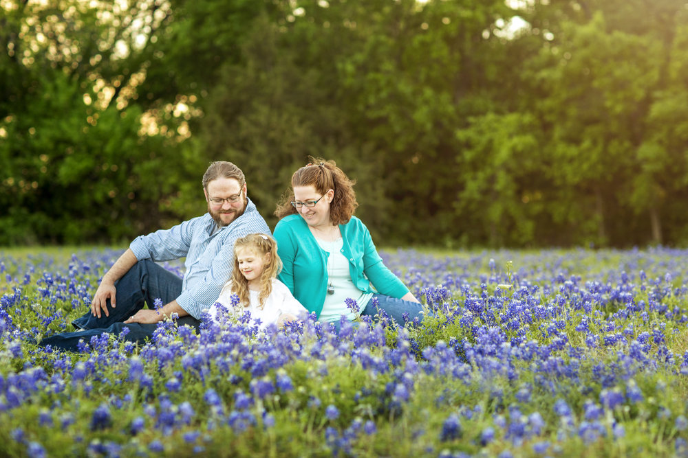 Bluebonnets