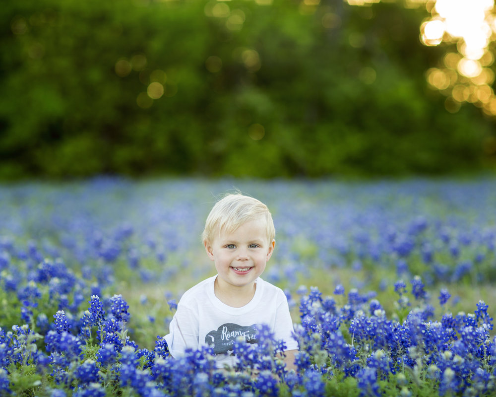 Bluebonnets