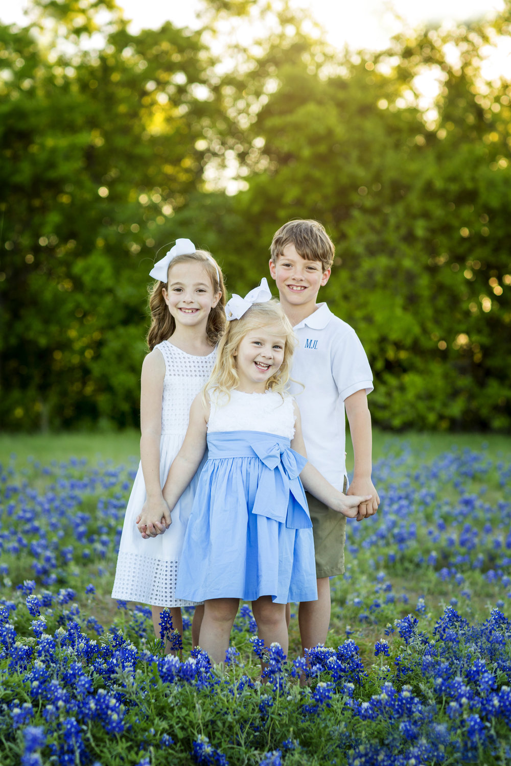 Bluebonnets