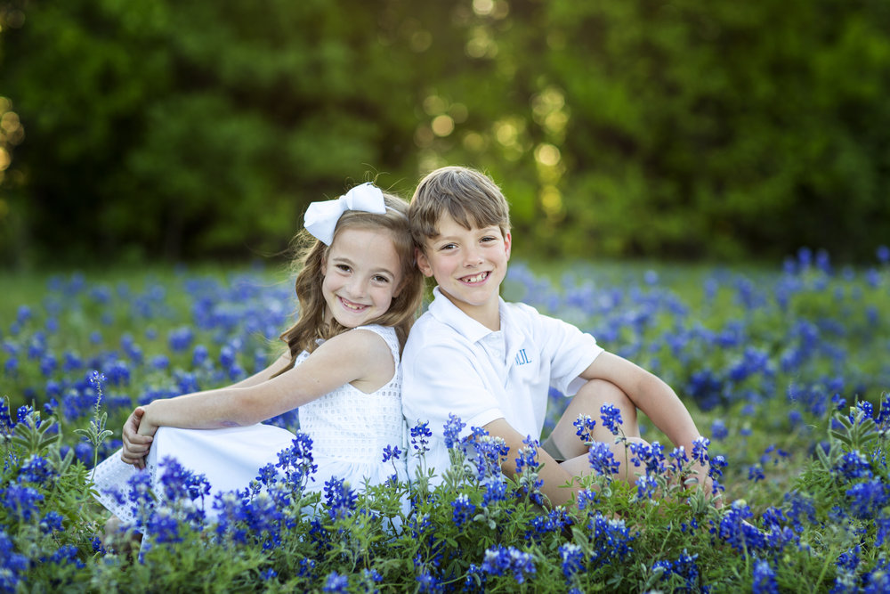 Bluebonnets