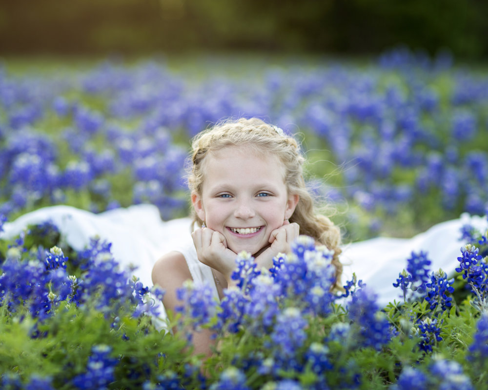 Bluebonnets