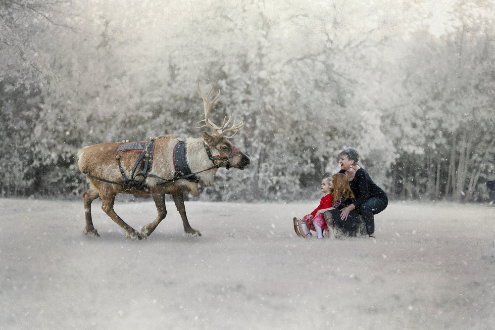 Christmas Mini Sessions