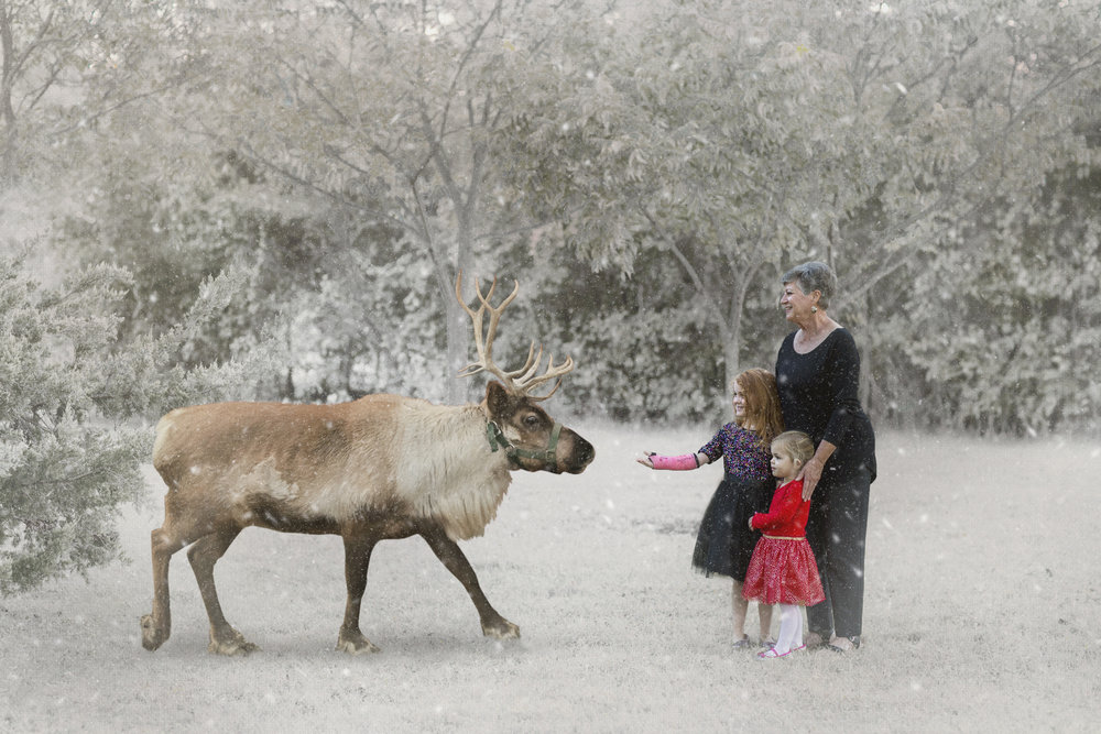 Christmas Mini Sessions