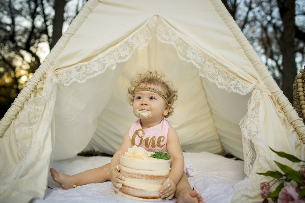 Holstyn First Birthday Session