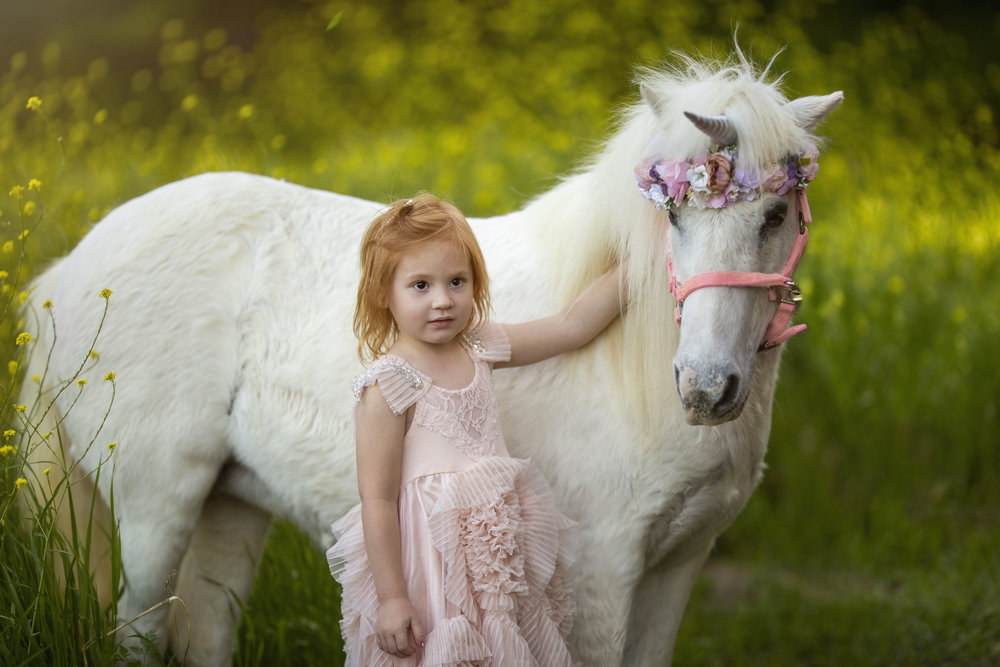 Unicorn Mini Session