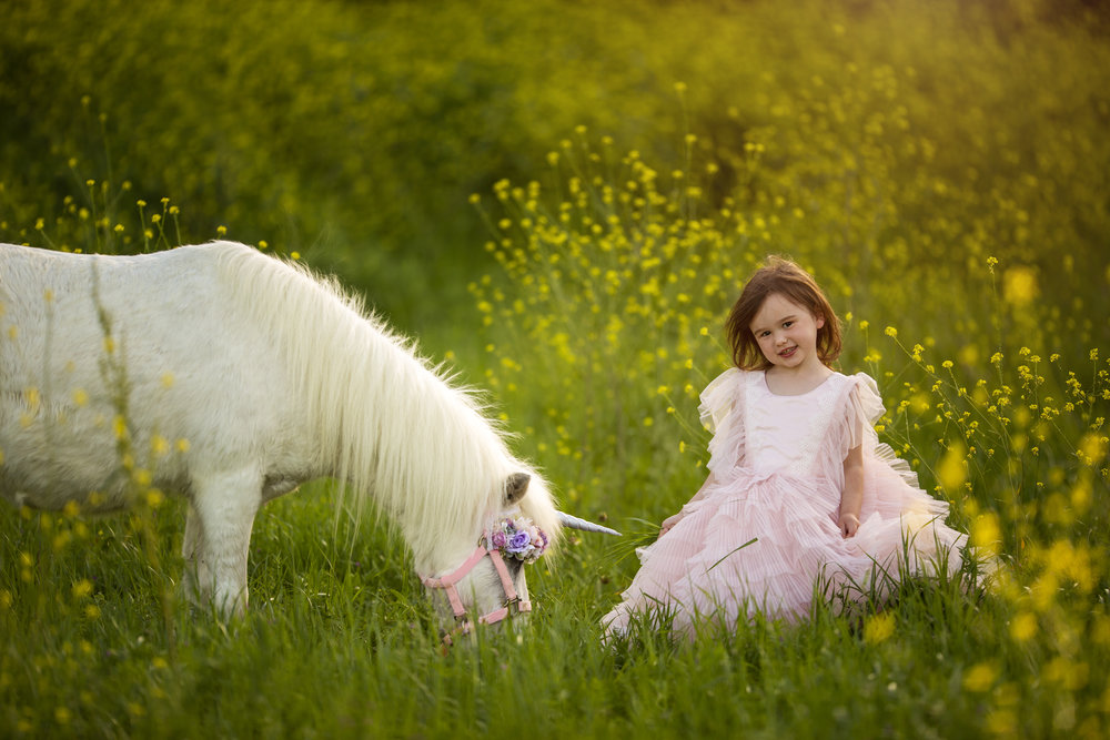 Unicorn Mini Session