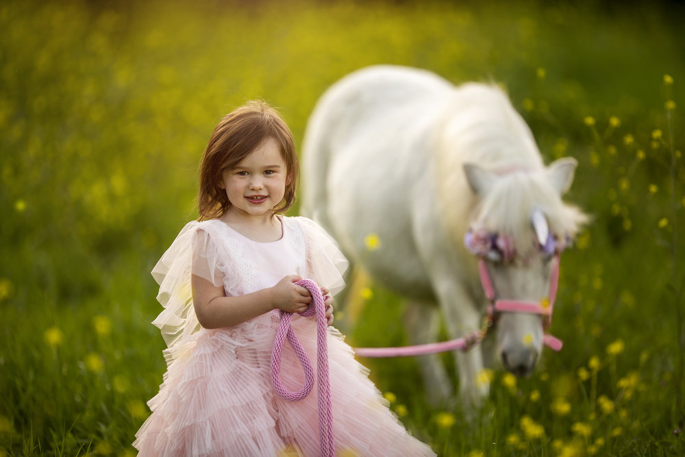 Unicorn Mini Session