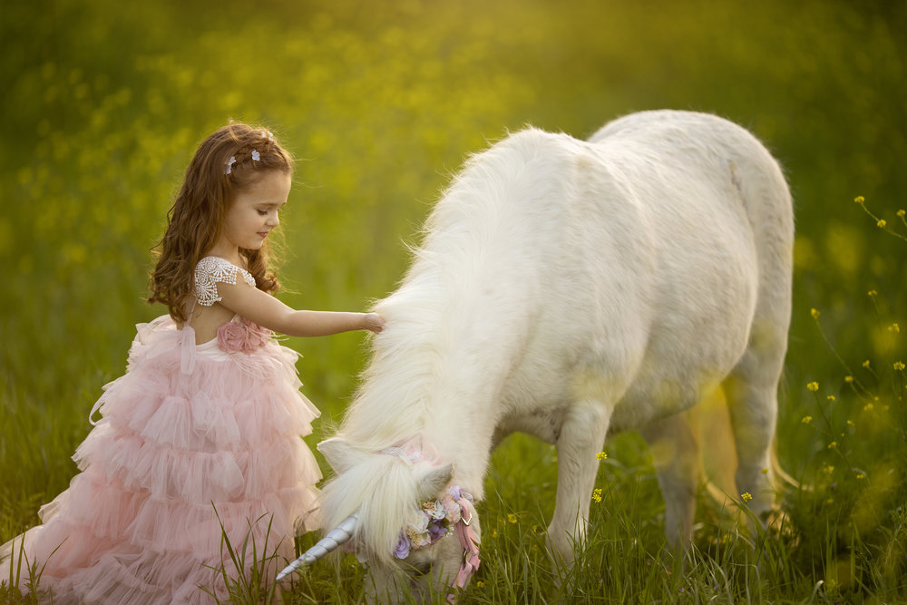 Unicorn Mini Session