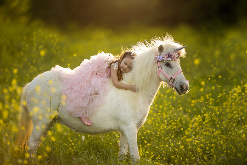 Unicorn Mini Session