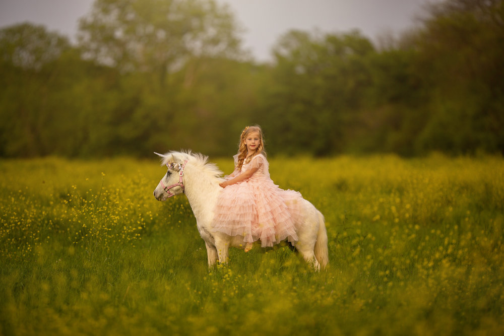 Unicorn Mini Session