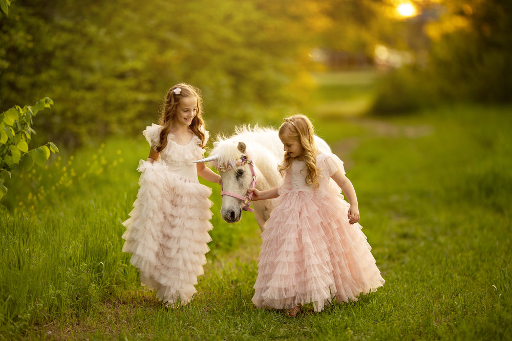 Unicorn Mini Session