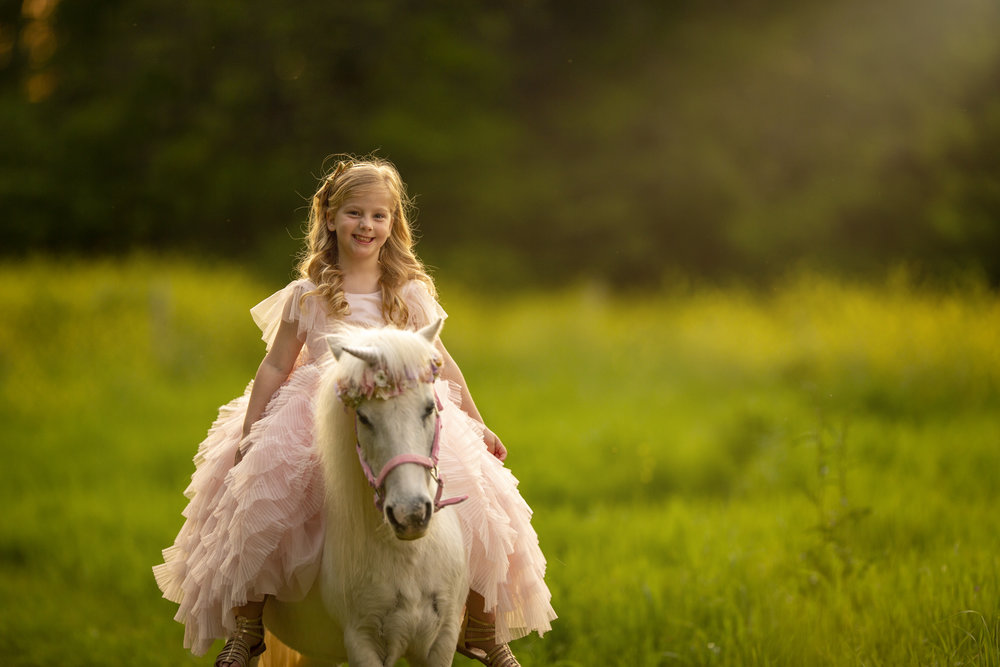 Unicorn Mini Session