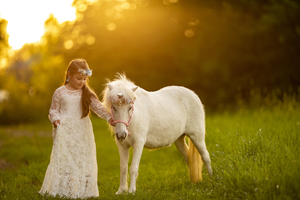 Unicorn Mini Session