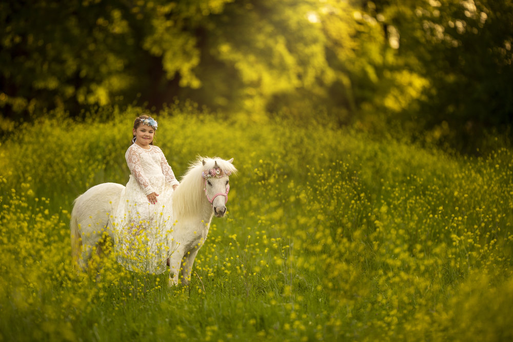 Unicorn Mini Session