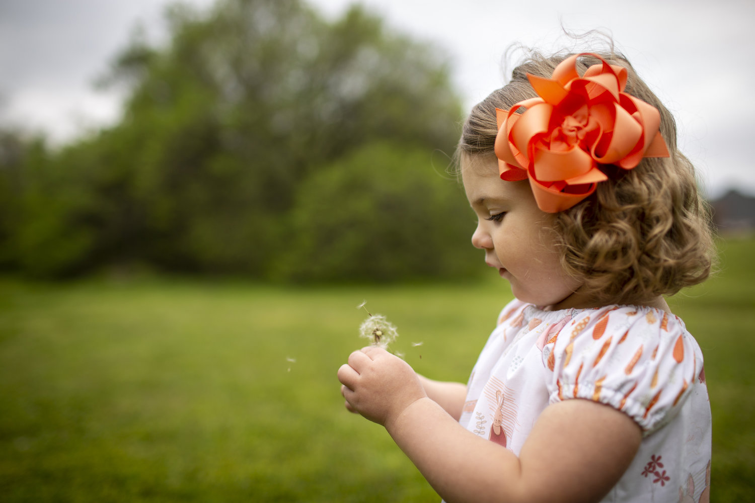 Spring Mini Session