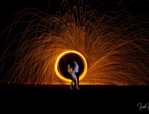 Steel Wool Images | Keller, TX