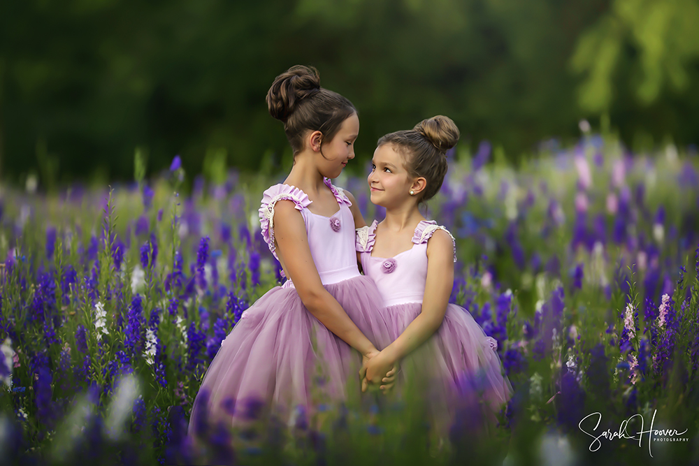 Purple Flower Field | Dallas, TX