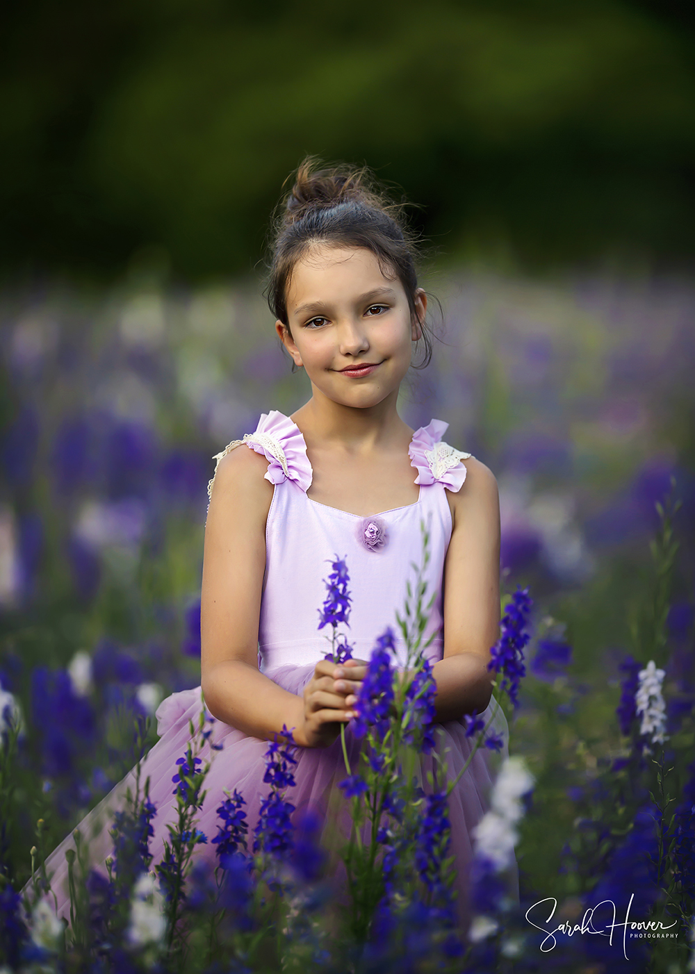 Purple Flower Field | Dallas, TX