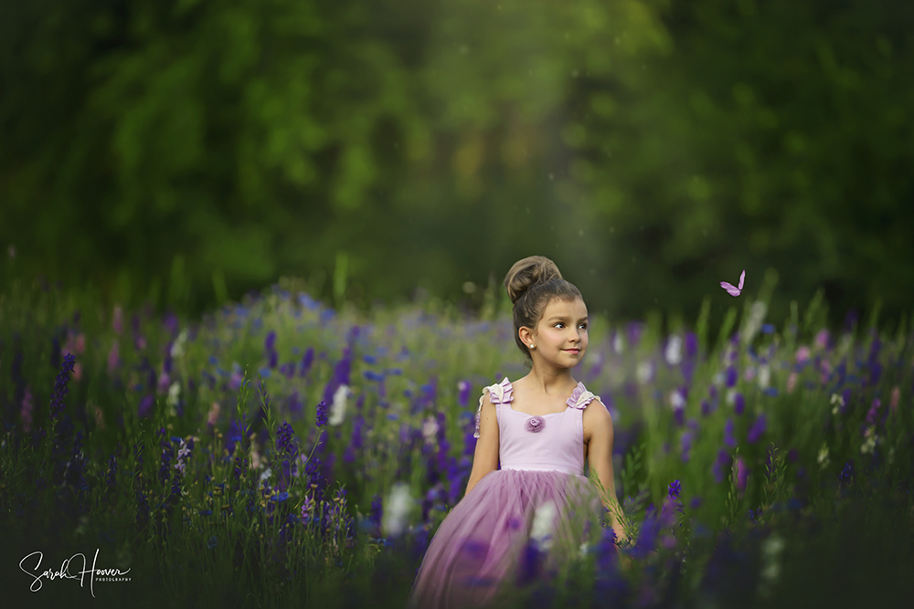 Purple Flower Field | Dallas, TX