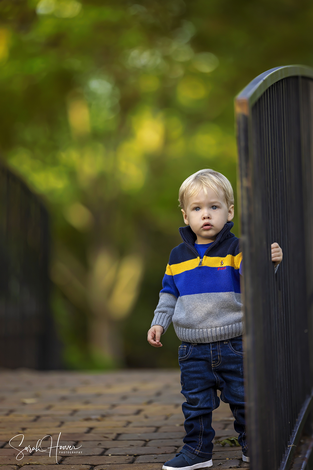 Rozenburg Family | Grapevine, TX