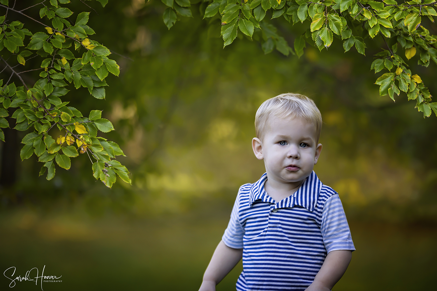 Rozenburg Family Session | Colleyville, TX