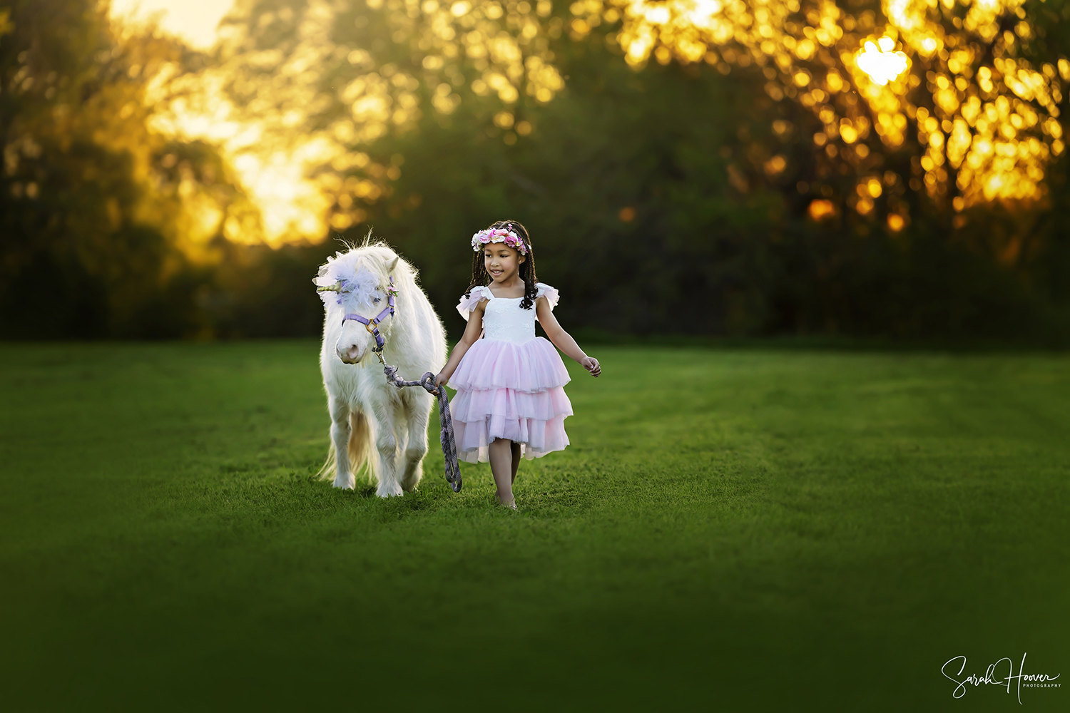 Unicorn Session | Keller, TX