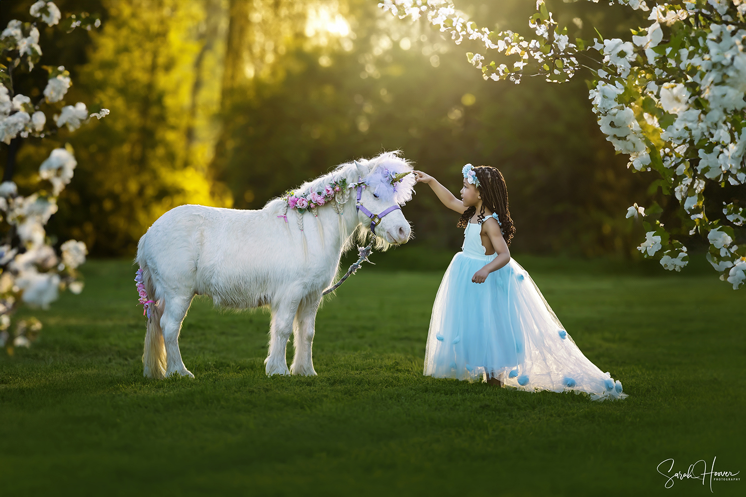 Unicorn Session | Keller, TX