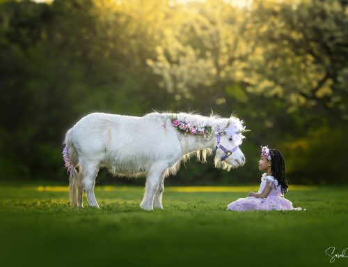 Unicorn Session | Keller, TX