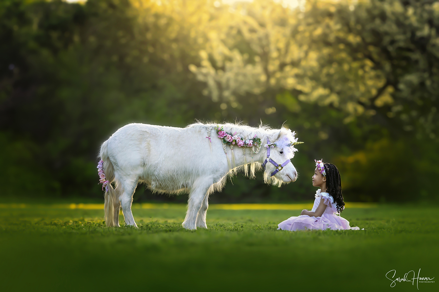 Unicorn Session | Keller, TX