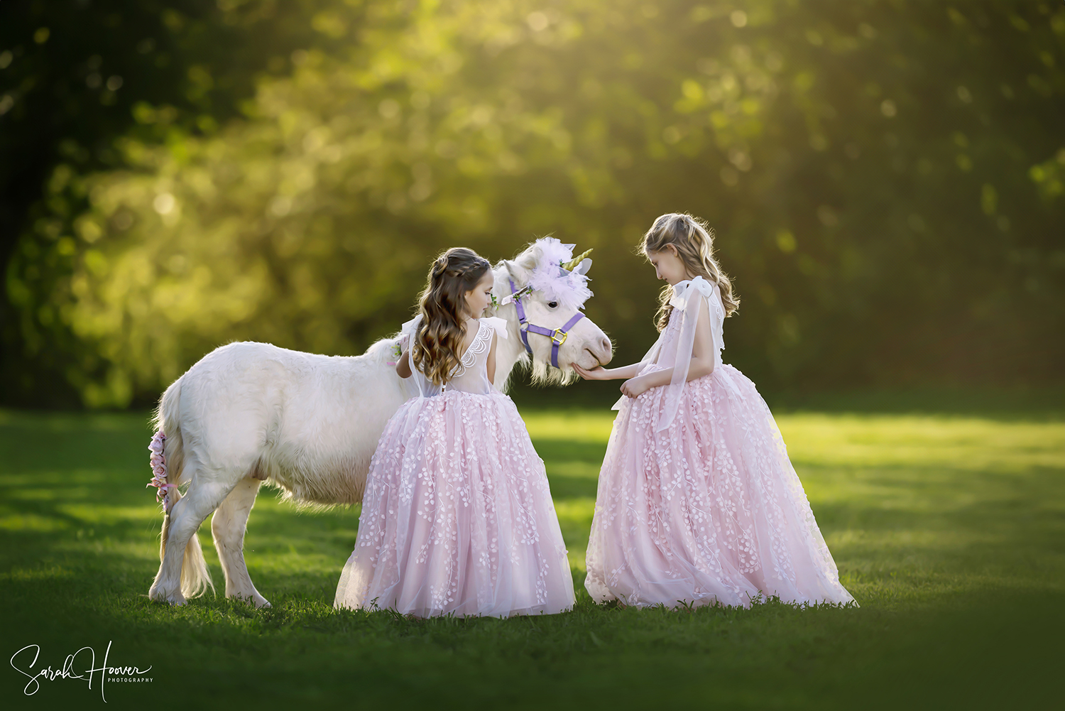 Unicorn Session | Keller, TX