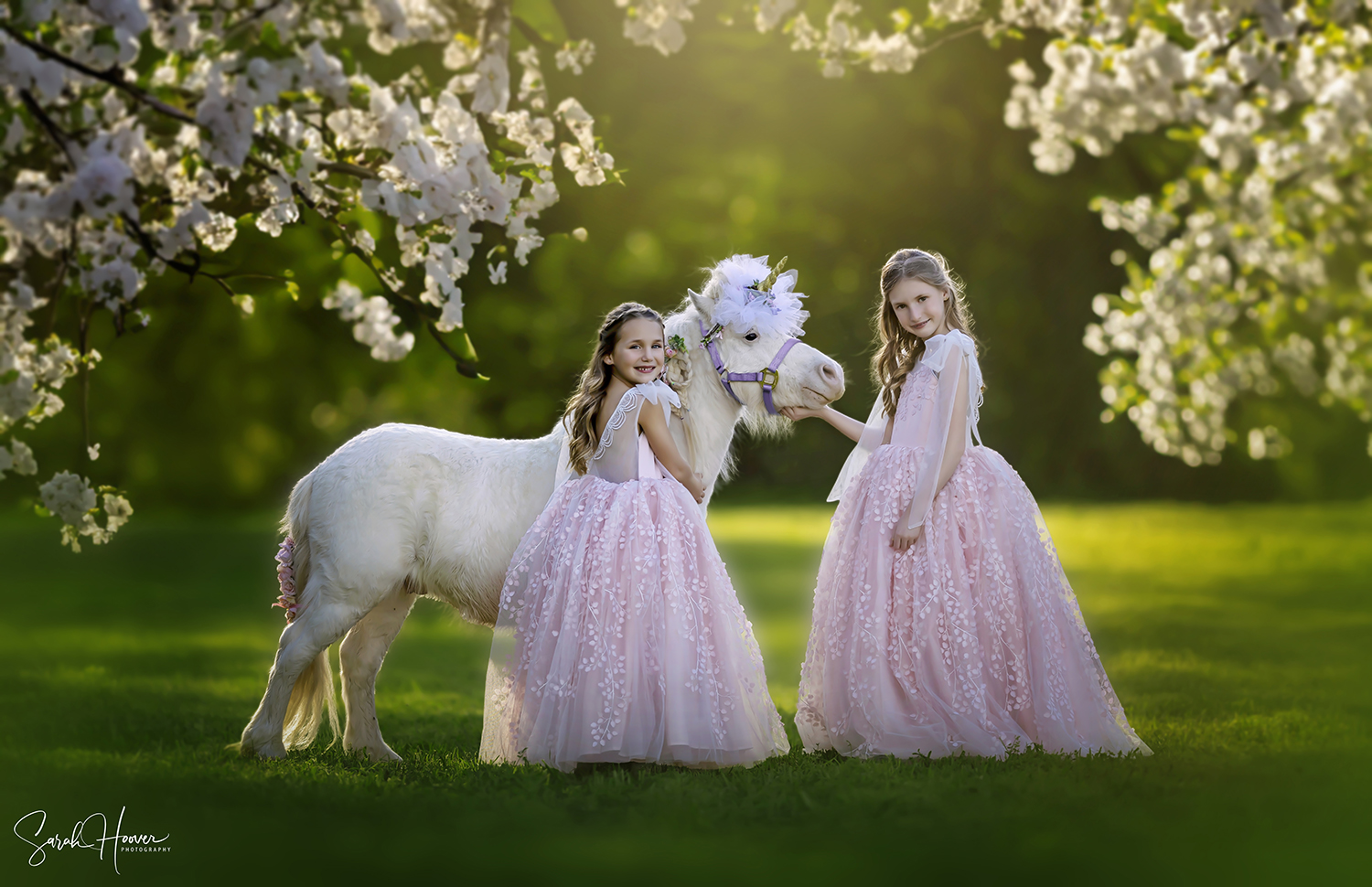 Unicorn Session | Keller, TX